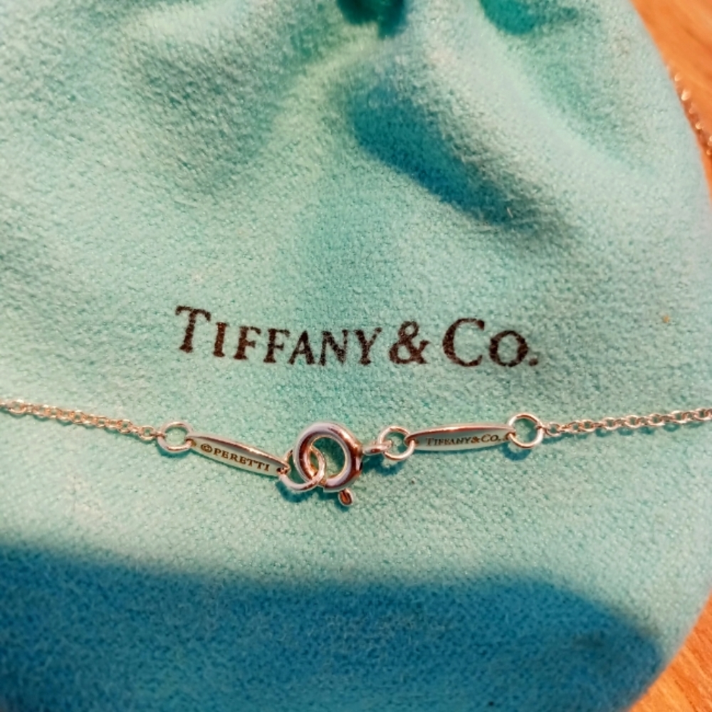 Tiffany & Co. | Peretti 925 Silver Chain Necklace | Pre-Owned
